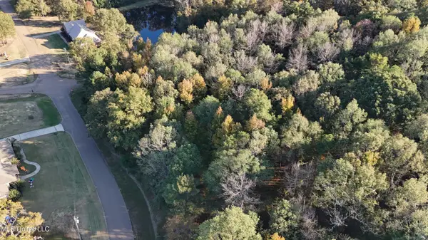 0 View Pointe Drive, Clinton, MS 39056