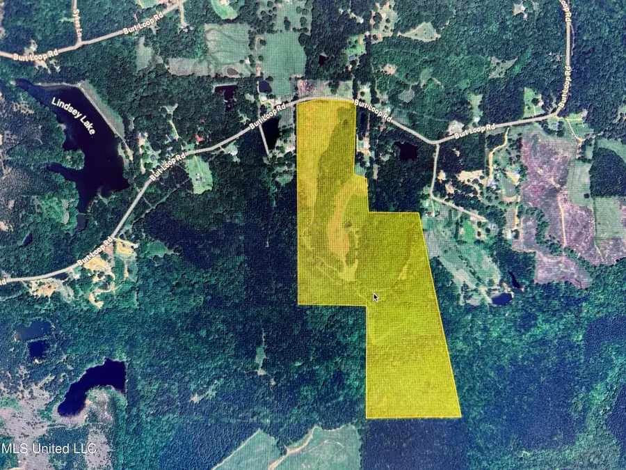0 E Burt Loop Road, Crystal Springs, MS 39059 - Image #3