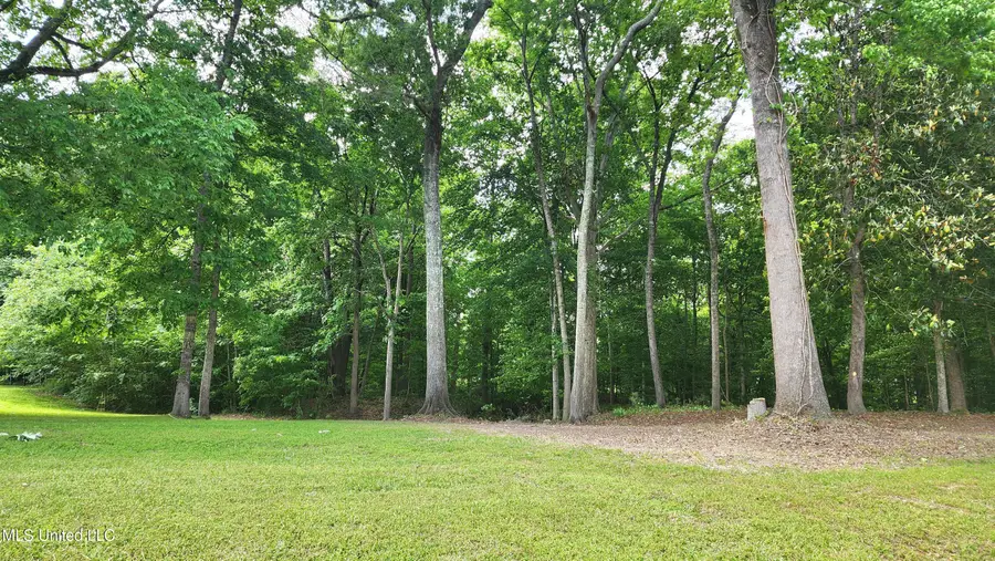 00 Bluff Hills Place, Natchez, MS 39120 - Image #2