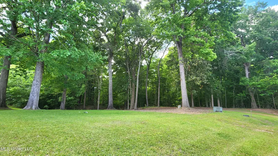 00 Bluff Hills Place, Natchez, MS 39120 - Image #3