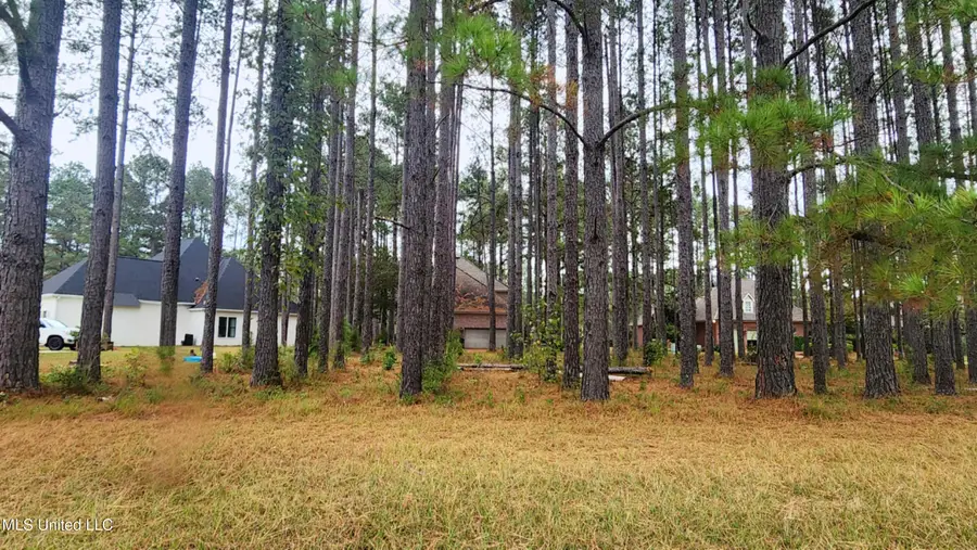 0 Pins Court, Natchez, MS 39120 - Image #2
