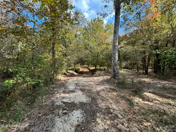 Shillings Hill Road, Roxie, MS 39661