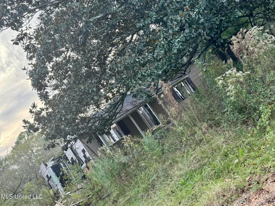 919 Combs Street, Jackson, MS 39204 - #2