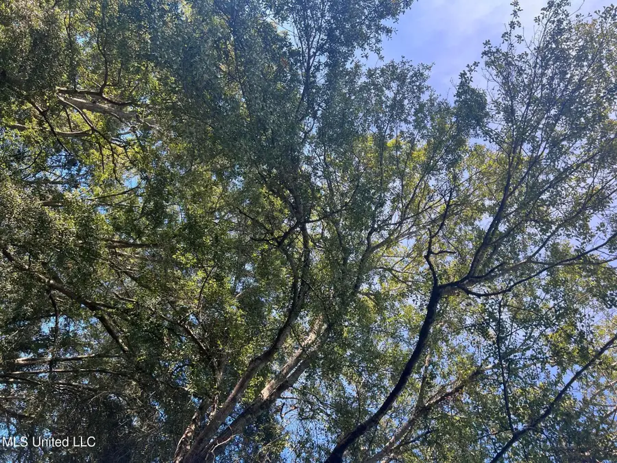 Unassigned Hines Ln, Braxton, MS 39044 - Image #3