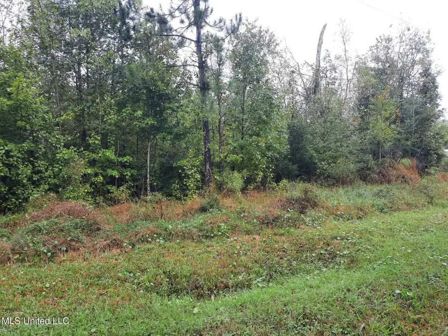 4138 Caspian Street, Bay Saint Louis, MS 39520 - #3