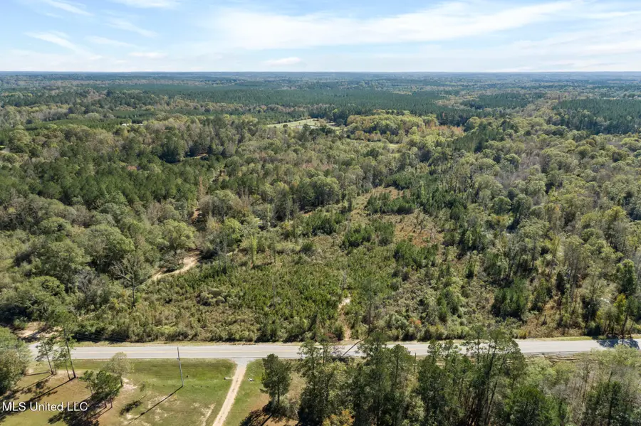 111 Ms-44, Sumrall, MS 39482 - #3