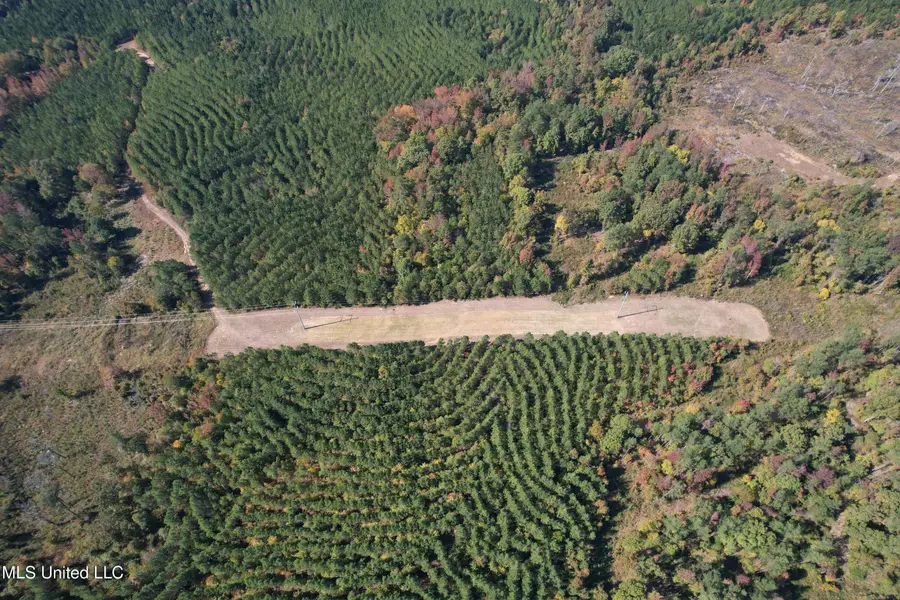 Ms-32, Water Valley, MS 38965 - Image #3