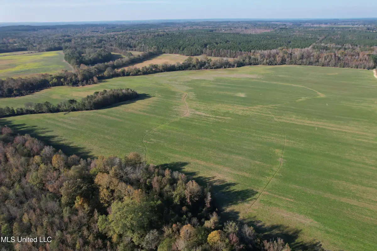 Attala Road 4110, Sallis, MS 39160 - Image #1