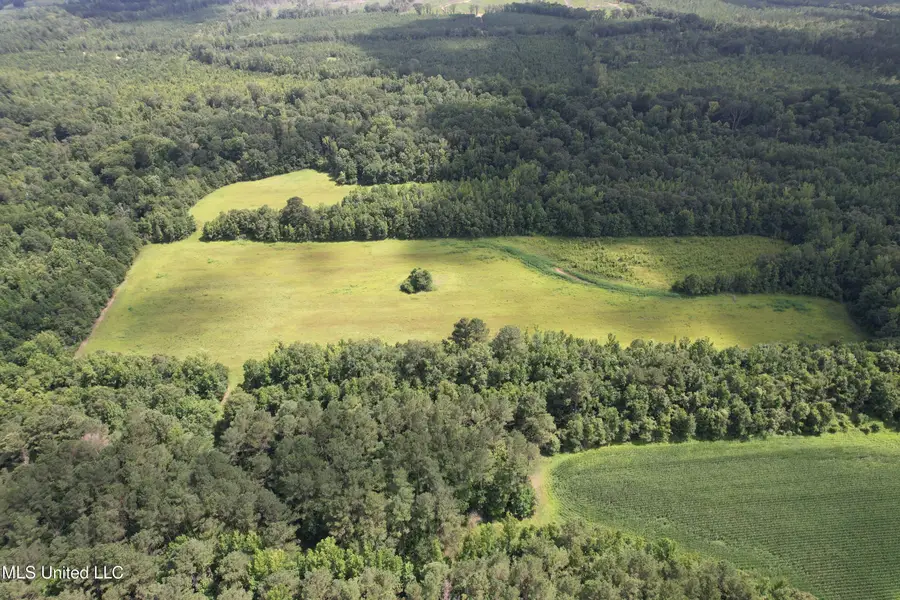 Attala Road 4110, Sallis, MS 39160 - Image #2