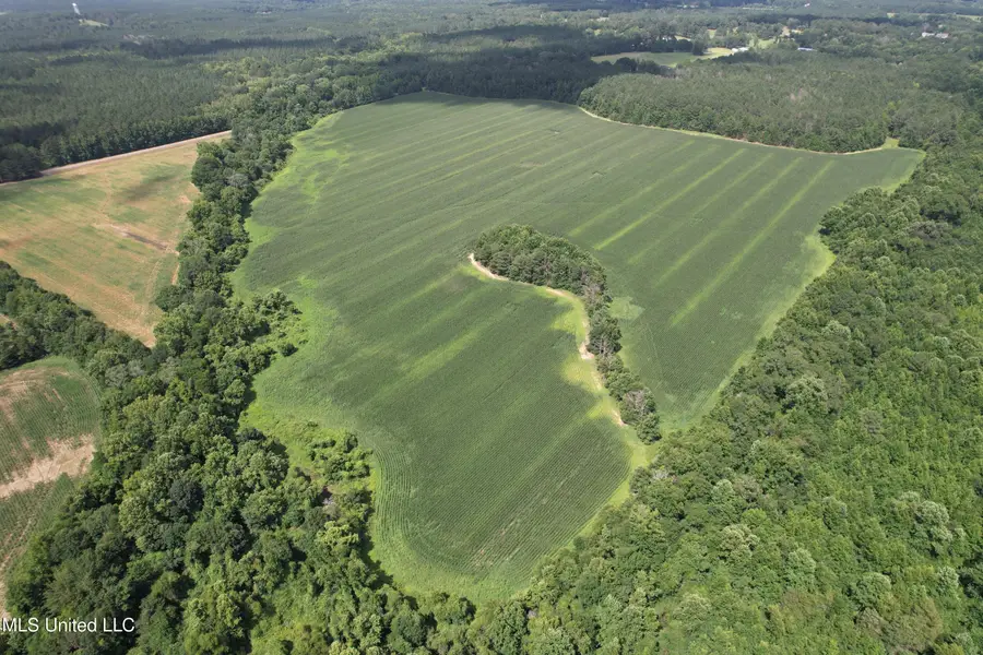 Attala Road 4110, Sallis, MS 39160 - Image #3