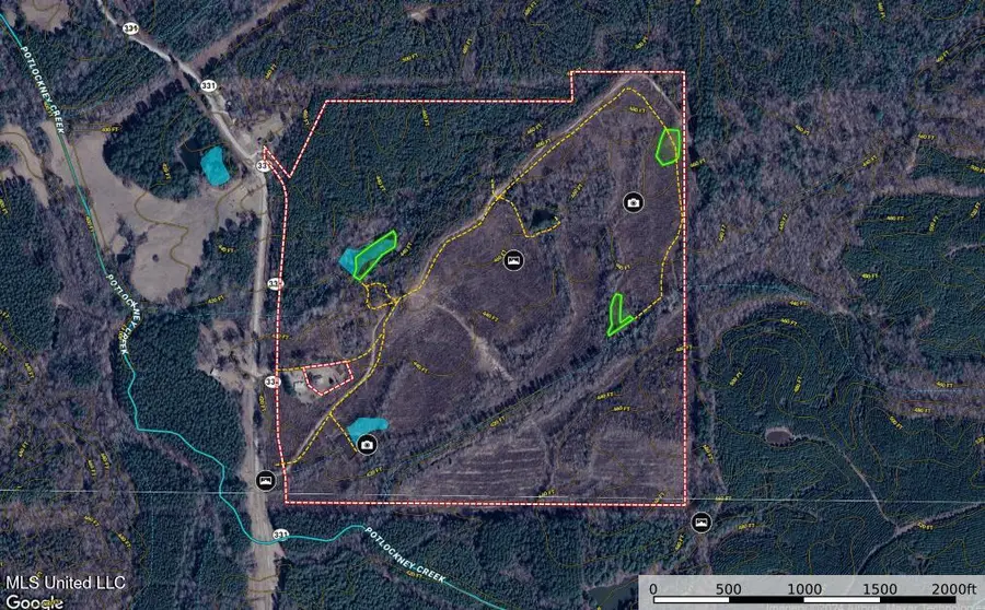 01 Mississippi 331, Paris, MS 38949 - #2