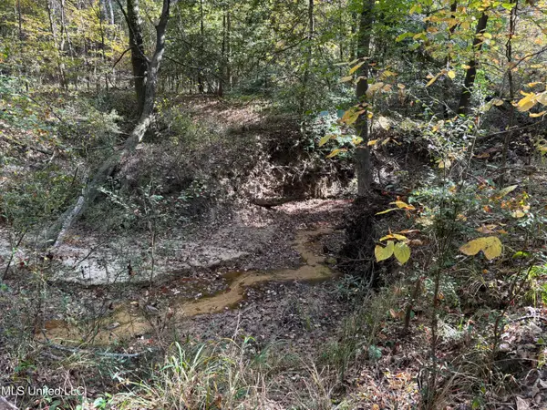 Shillings Hill Road, Roxie, MS 39661