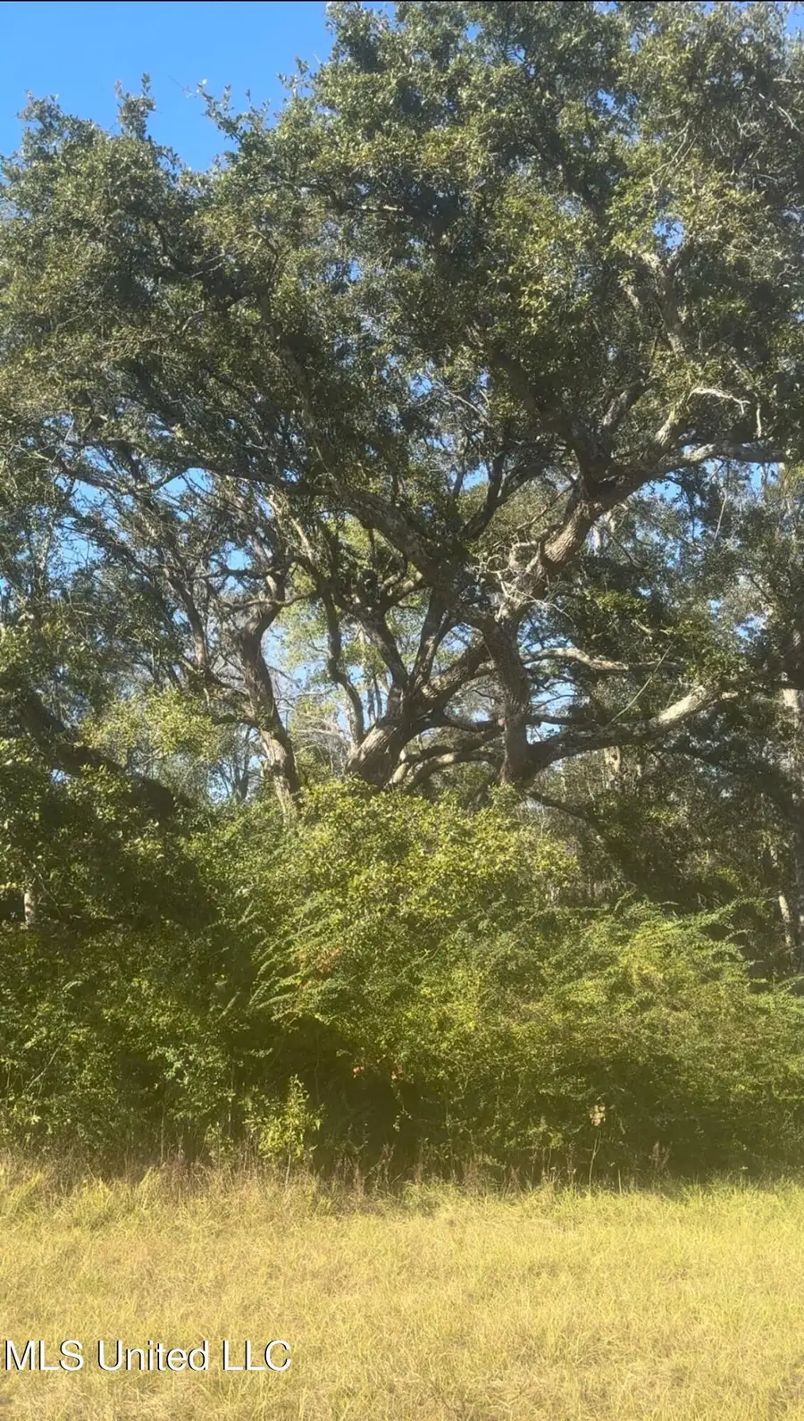 00000 E 528 Road, Kiln, MS 39556 - Image #2