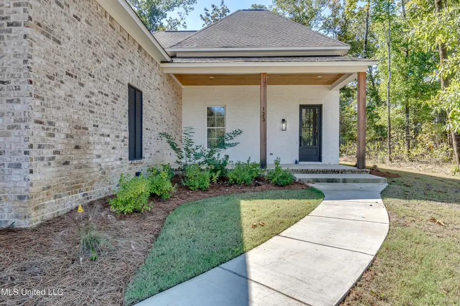 123 Camden Ridge, Madison, MS 39110 - Image #3
