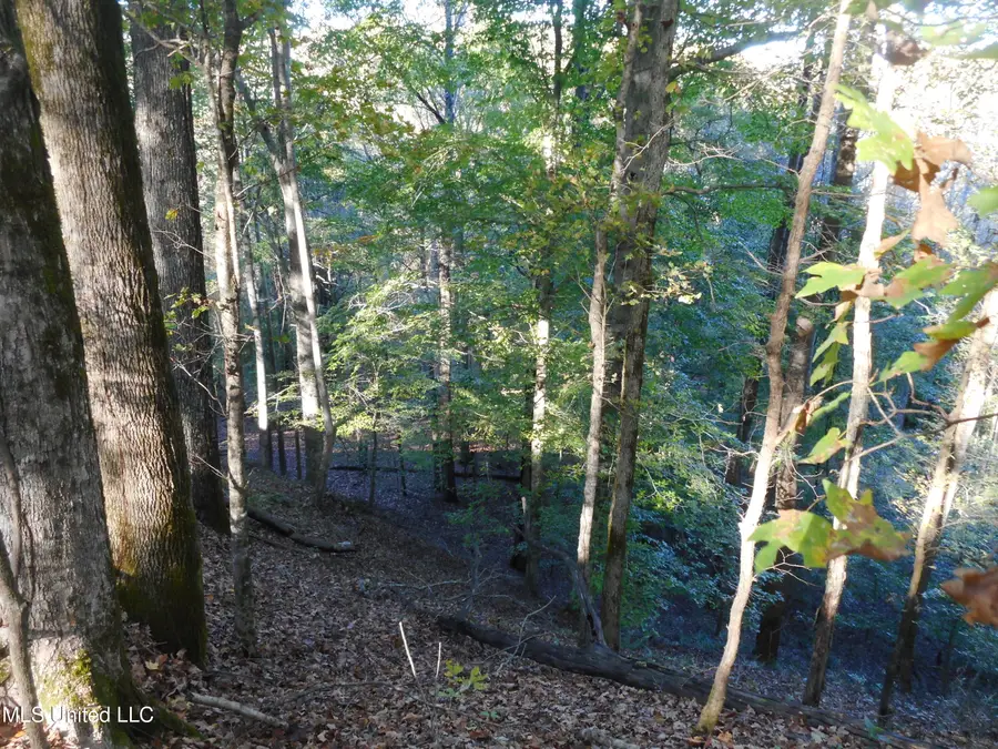 Perry Creek Road, Satartia, MS 39162 - Image #3