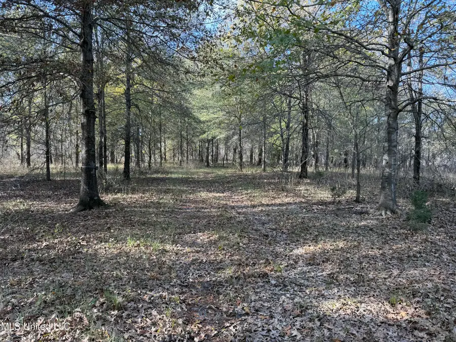 1 Bland Road, Lambert, MS 38643 - Image #3