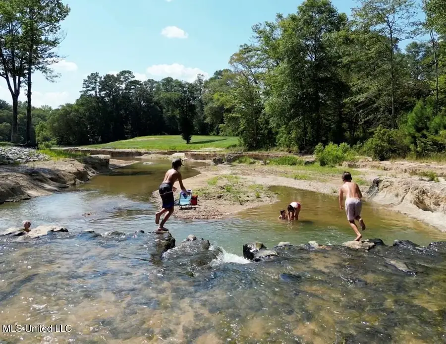 524 Jones White Road, Woodville, MS 39669 - Image #3