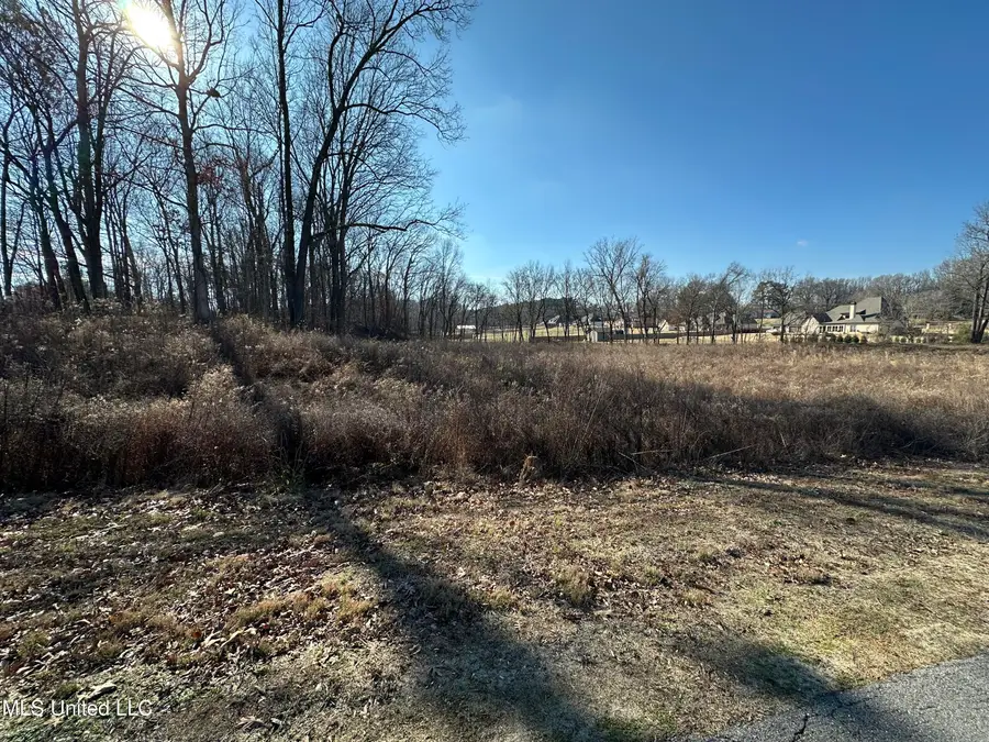 4889 Austin Road, Nesbit, MS 38651 - Image #3