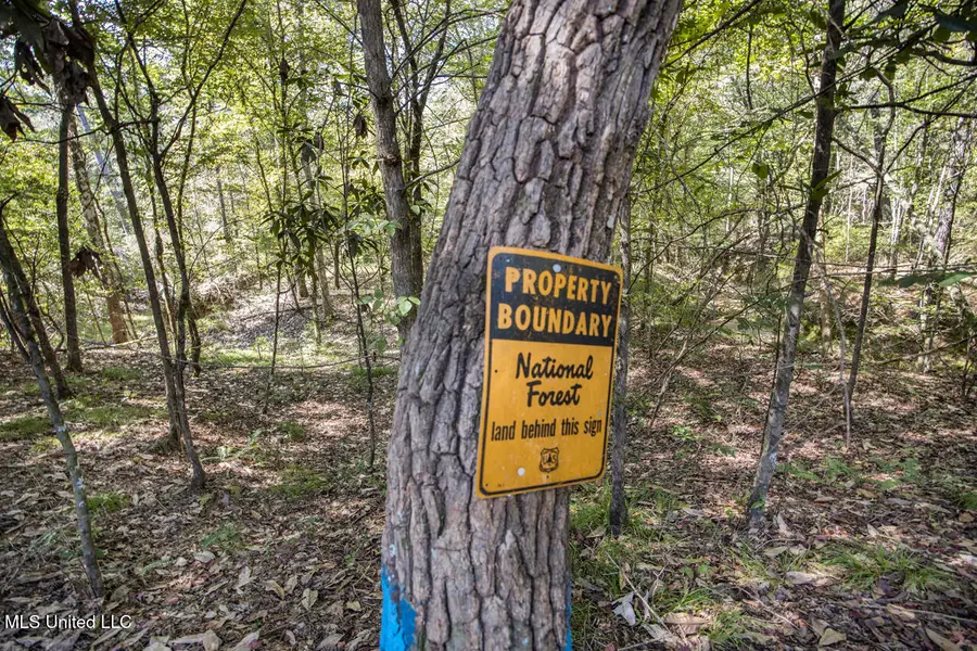 4 Oxford Meadville Road, Gloster, MS 39638 - Image #3