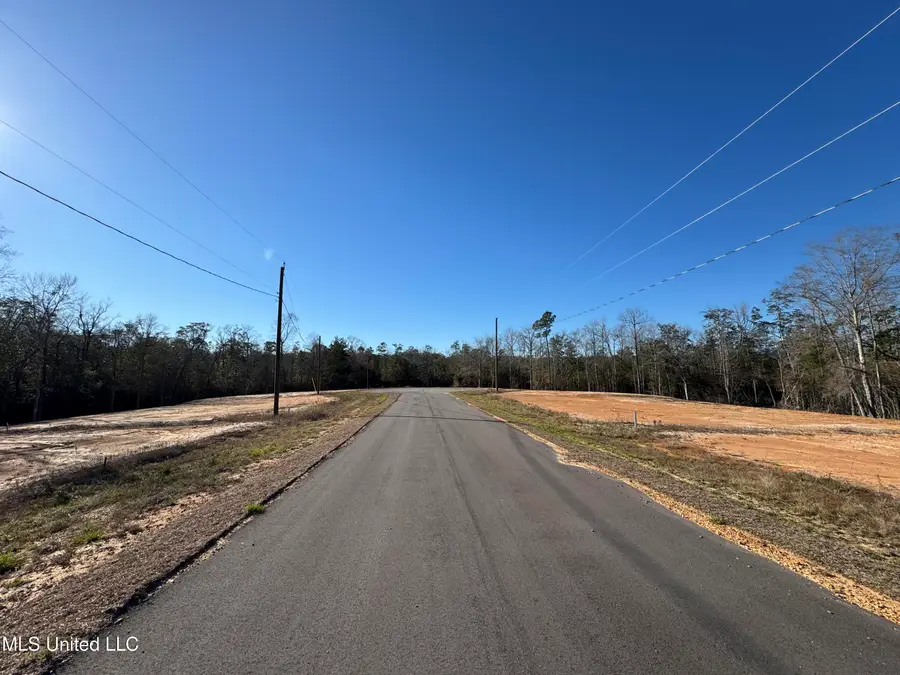 Shadow Wood- Lot 1 Drive, Perkinston, MS 39573 - Image #2