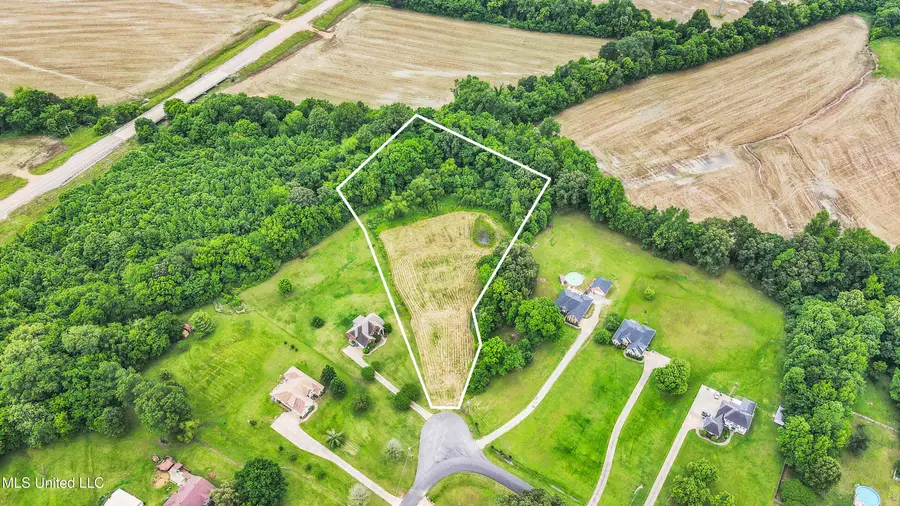 6175 Skyler Road, Walls, MS 38680 - Image #3