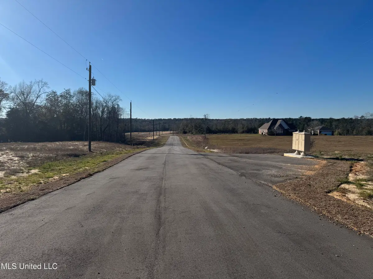 Shadow Wood - Lot 3 Drive, Perkinston, MS 39573 - Image #1