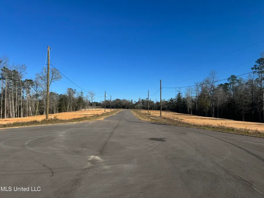 Shadow Wood - Lot 6 Drive, Perkinston, MS 39573 - Image #2