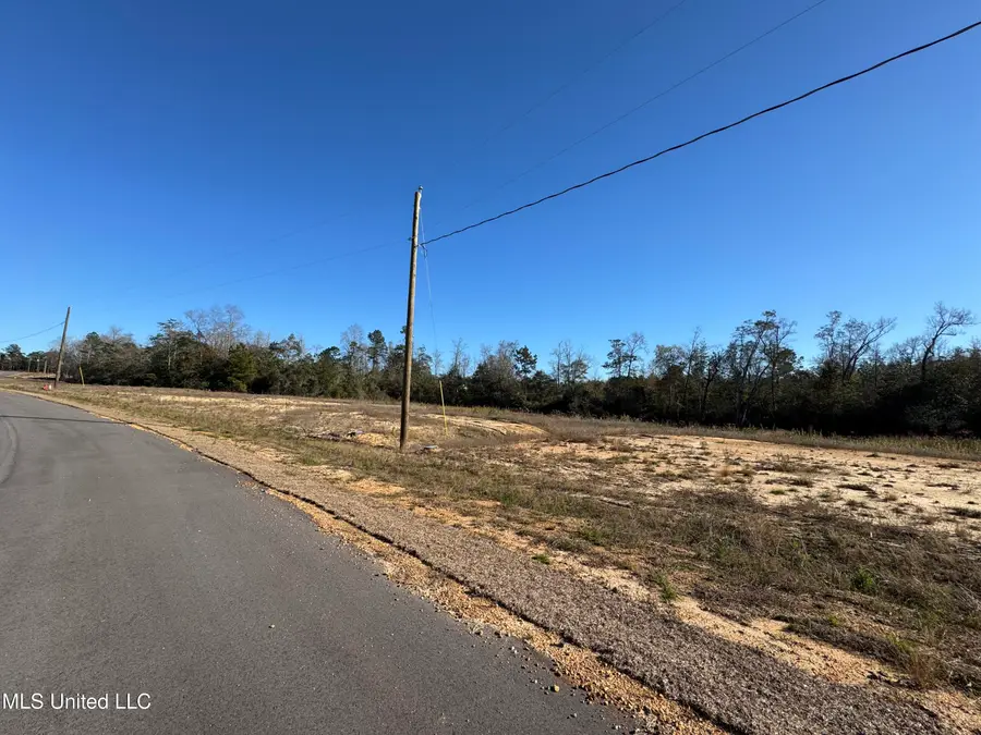 Shadow Wood - Lot 6 Drive, Perkinston, MS 39573 - Image #3