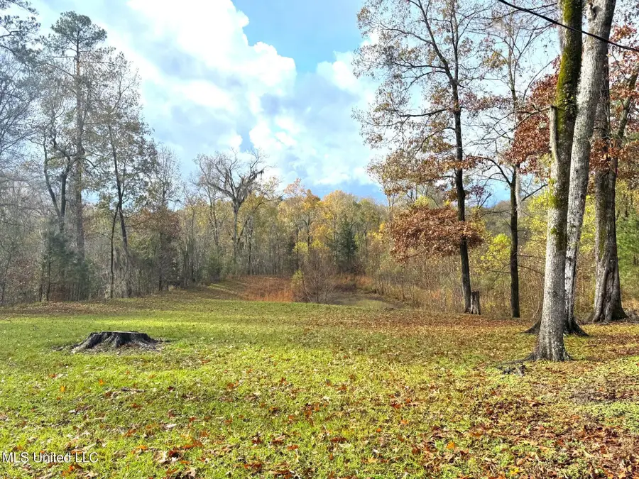 46 Stirling Road, Natchez, MS 39120 - Image #3