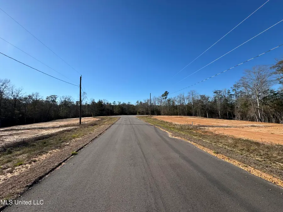 Shadow Wood - Lot 7 Drive, Perkinston, MS 39573 - Image #2