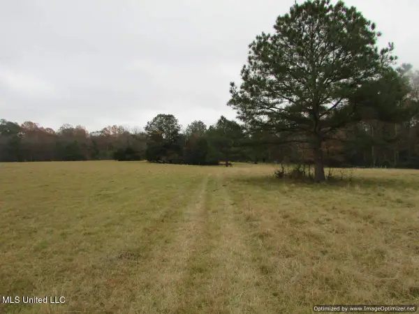 Old Rice Road, Canton, MS 39046