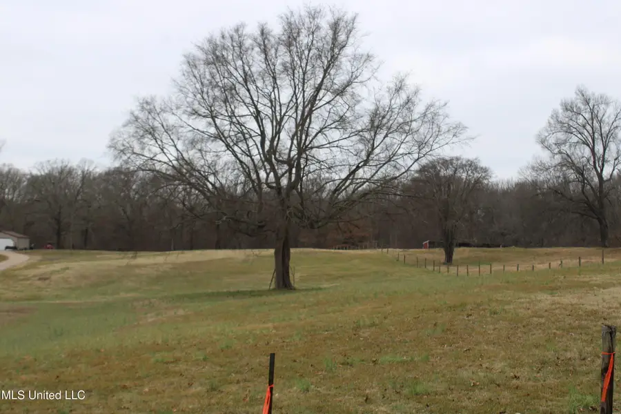 5899 Crawford Road, Hernando, MS 38632 - Image #2