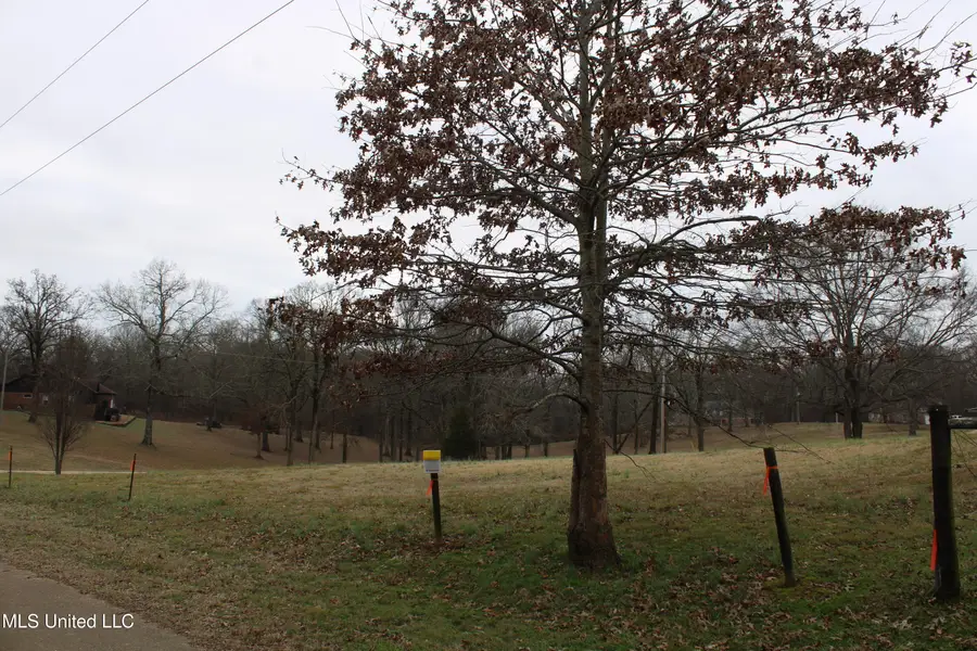 5899 Crawford Road, Hernando, MS 38632 - Image #3