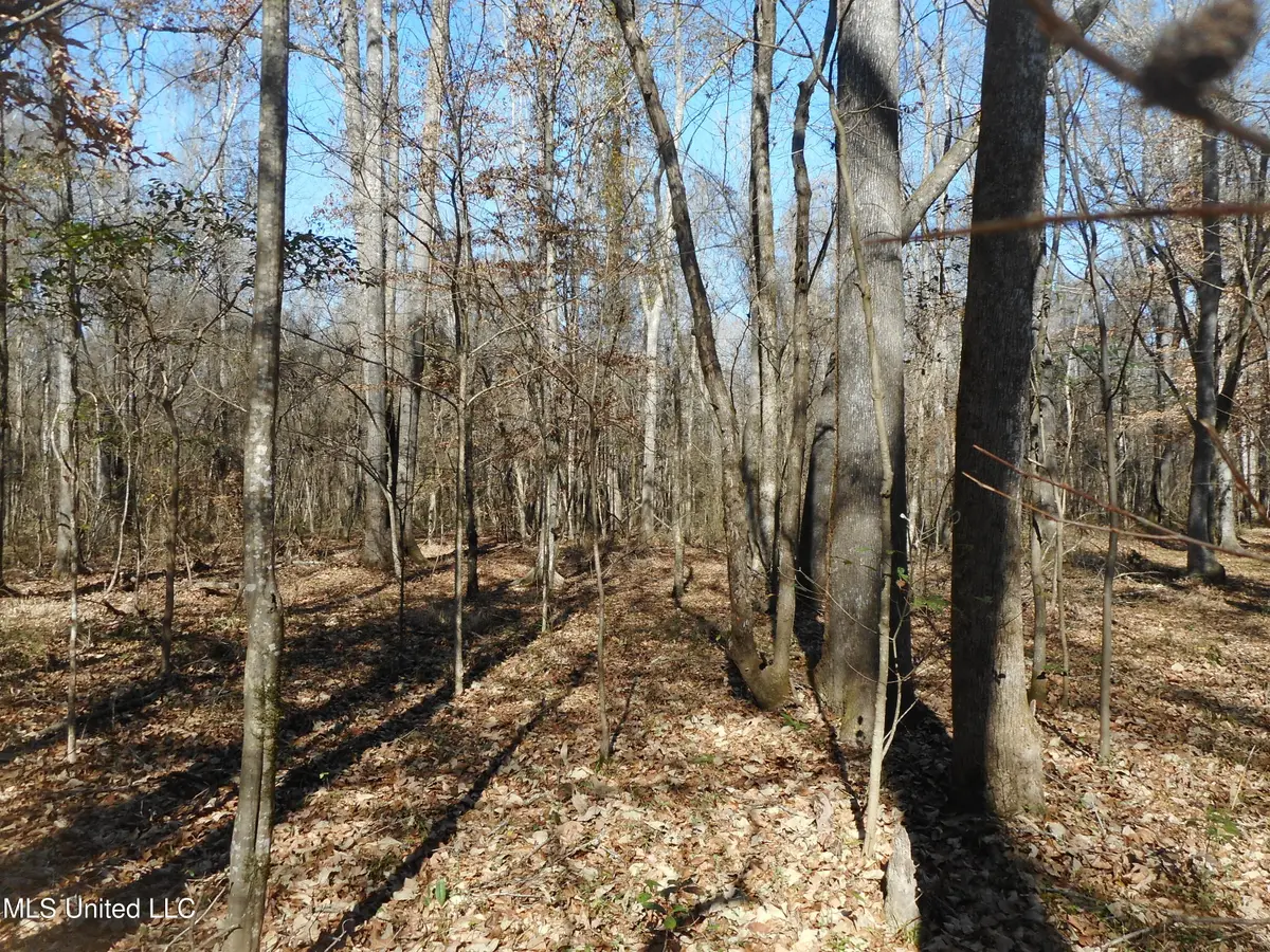 Joe Davis Street, Brandon, MS 39042 - Image #1