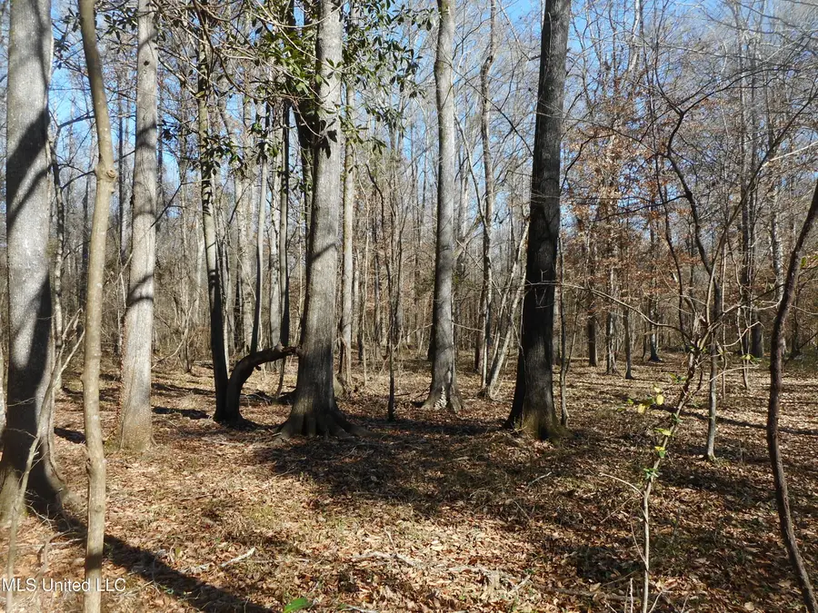 Joe Davis Street, Brandon, MS 39042 - Image #2