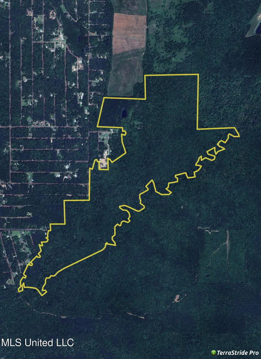 Joe Davis Street, Brandon, MS 39042 - Image #3