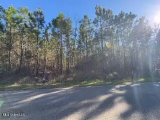 Allen Road, Long Beach, MS 39560 - Image #3