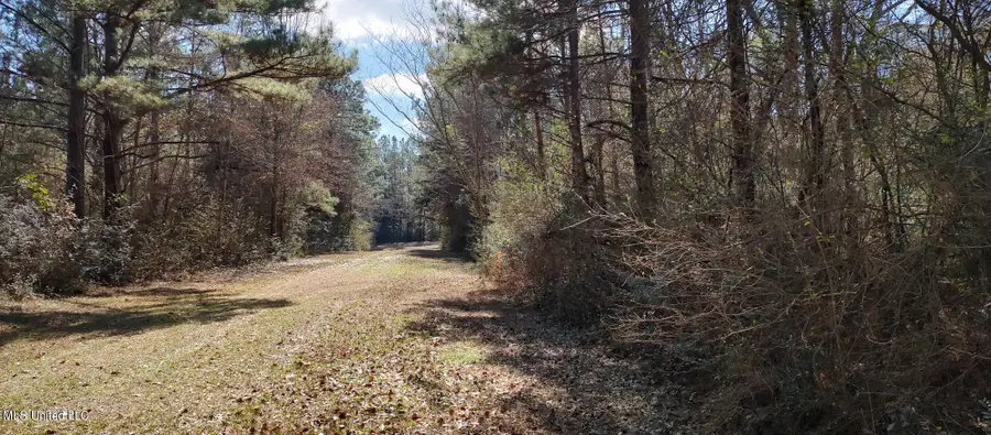 No Pecan Drive, Lumberton, MS 39455 - Image #2