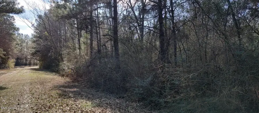 No Pecan Drive, Lumberton, MS 39455 - Image #3