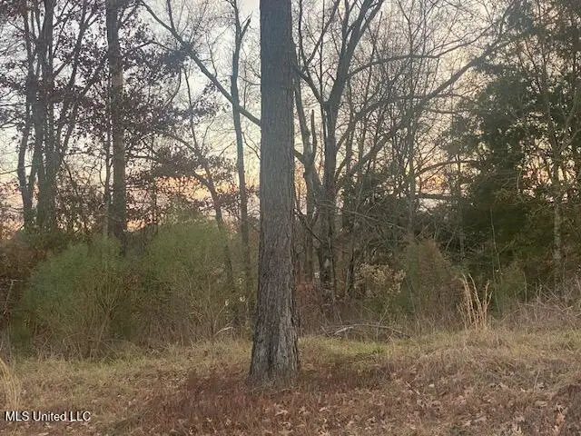 213 Hidden Creek Circle, Ridgeland, MS 39157 - Image #3