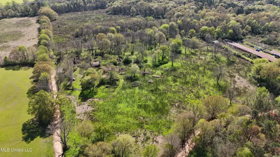 Thrash Road, Conehatta, MS 39057 - Image #2