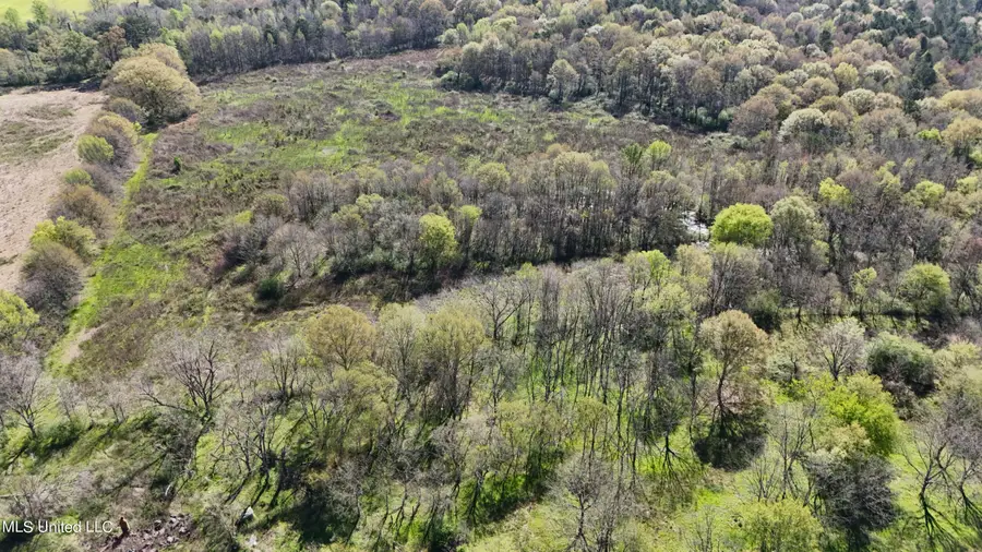 Thrash Road, Conehatta, MS 39057 - Image #3