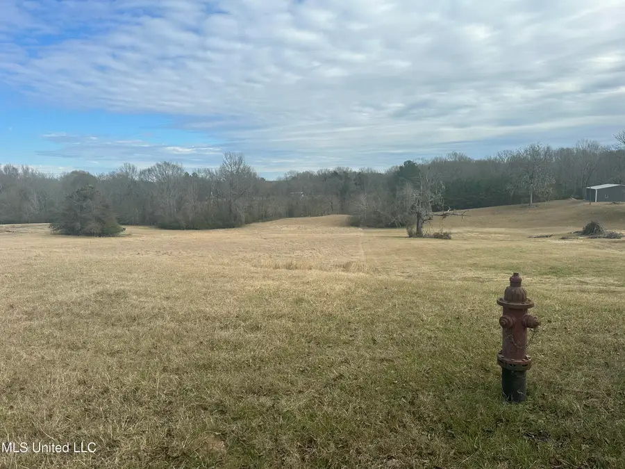 Meadow Oaks Lane, Clinton, MS 39056 - Image #2