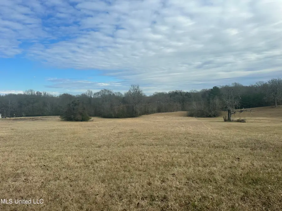 Meadow Oaks Lane, Clinton, MS 39056 - Image #3