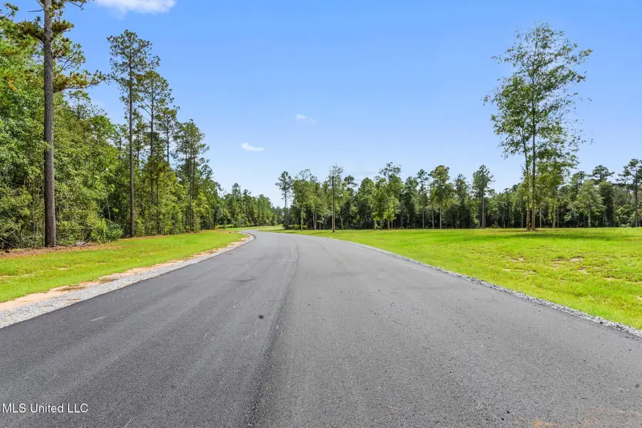 Lot 13 Pine Ridge Lane, Lucedale, MS 39452 - Image #3