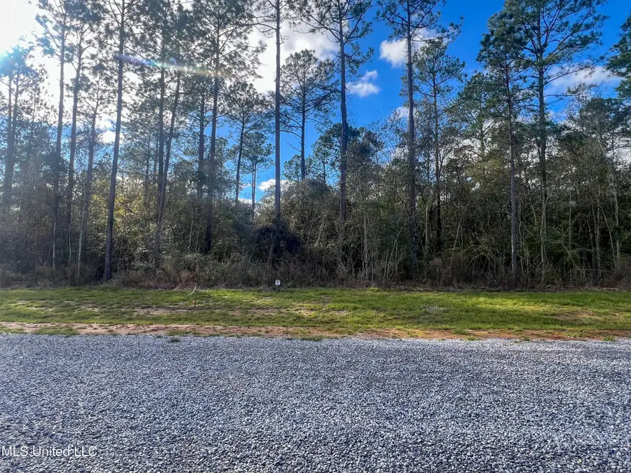 Lot 3 Pine Ridge Lane, Lucedale, MS 39452 - Image #3