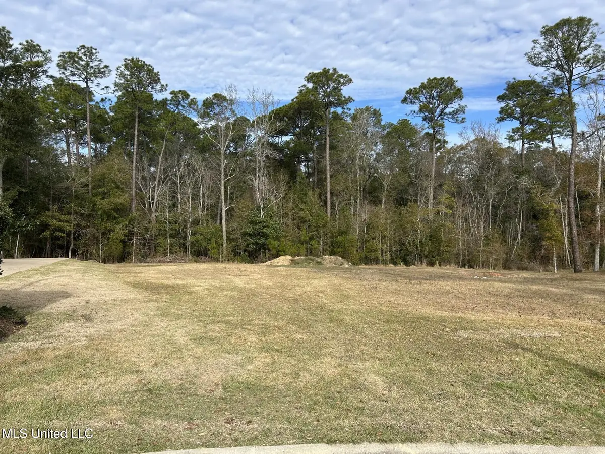 Caymus Cove, Ocean Springs, MS 39564 - #1