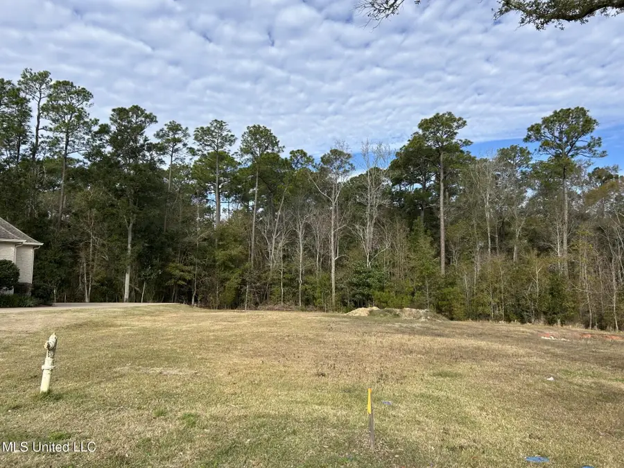 Caymus Cove, Ocean Springs, MS 39564 - #2
