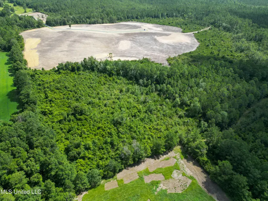 24205 Autumn Place, Kiln, MS 39556 - Image #2