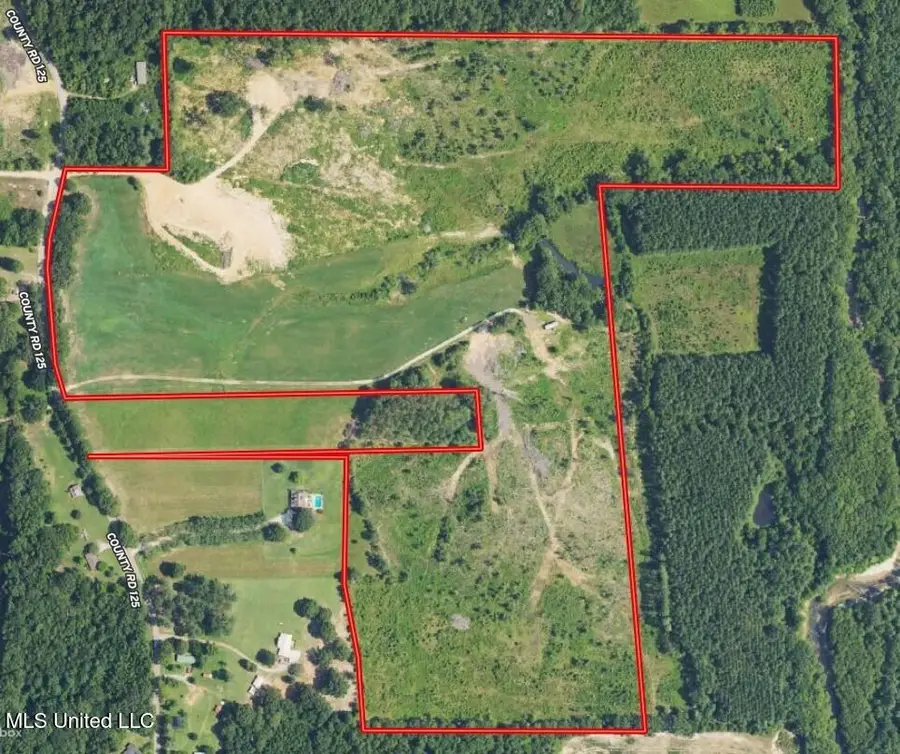 122 County Road 125, Bruce, MS 38915 - Image #2
